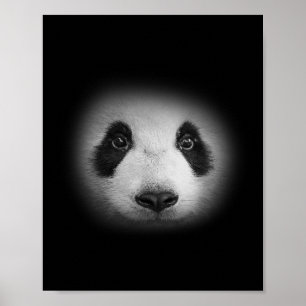 Poster Urso De Panda Para Amantes de os animais E Ursos B