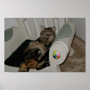 Póster Urso de Tasha