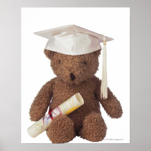 Póster Urso de ursinho que veste o mortarboard e com
