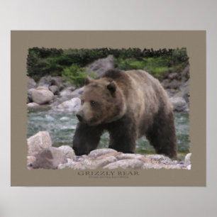 Póster Urso de urso - Pastels