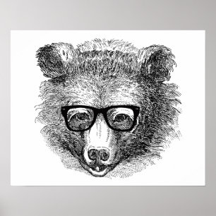 Poster Urso do hipster