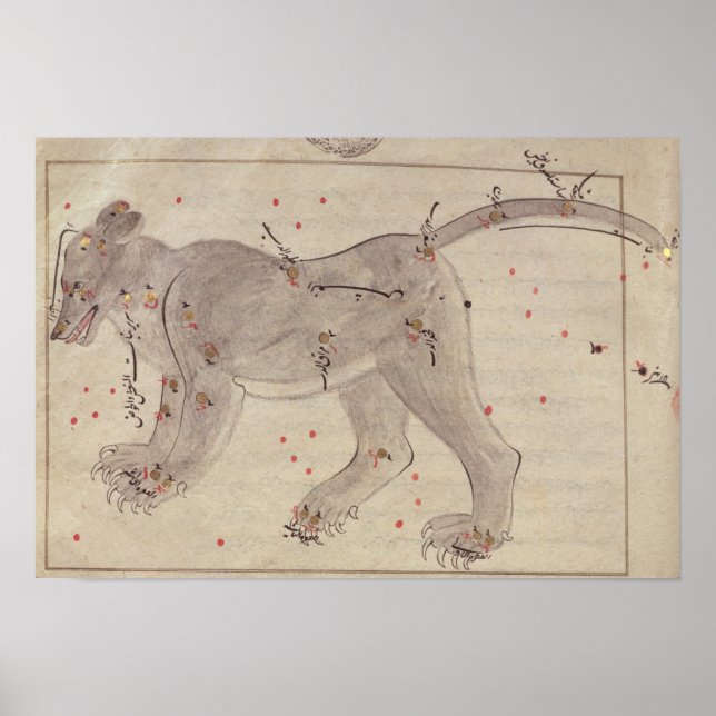 Póster Urso excelente, do Livro de Estrelas após El Husse (Frente)