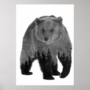 Poster Urso Exposição Dupla Floresta Árvores Noite