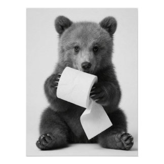 Póster Urso Fofo Segurando Papel Higiênico Minimalista Di