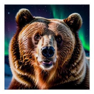 Póster Urso Grizzly e Luzes do Norte