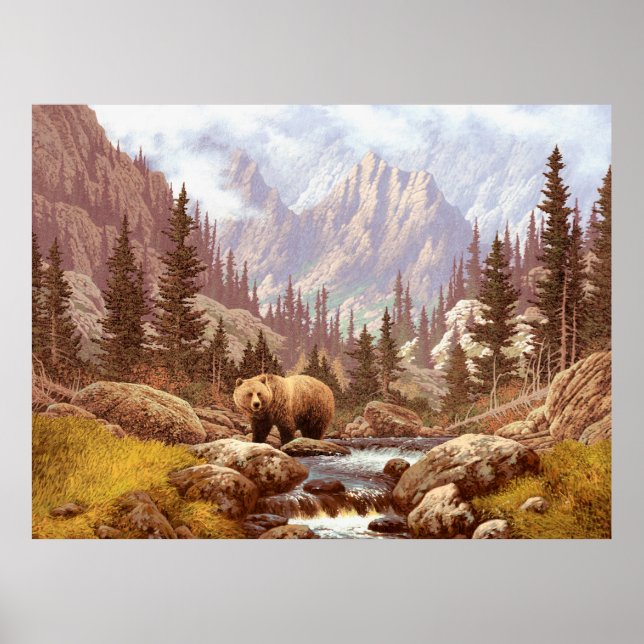 Poster Urso Grizzly nas Montanhas Rochosas/Urso AF-006g (Frente)