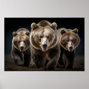 Poster Urso Grizzly Retrato Animal Selvagem Potência Fero