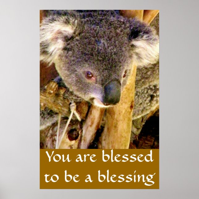 Póster Urso Koala & Mensagem_ (Frente)