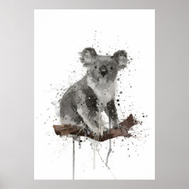 Poster Urso Kola