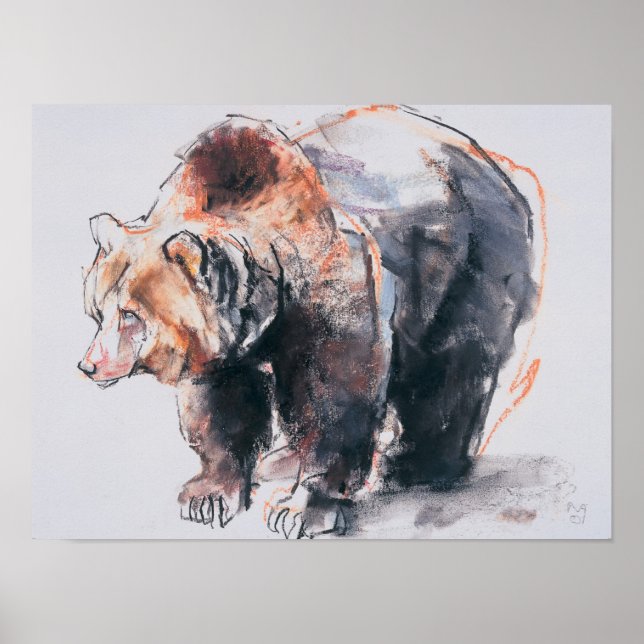 Poster Urso Marrom Europeu 2001 (Frente)
