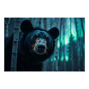 Póster Urso Negro e Arte Aurora