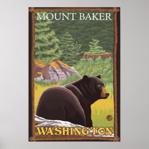 Póster Urso Negro na Floresta - Monte Baker, Washington