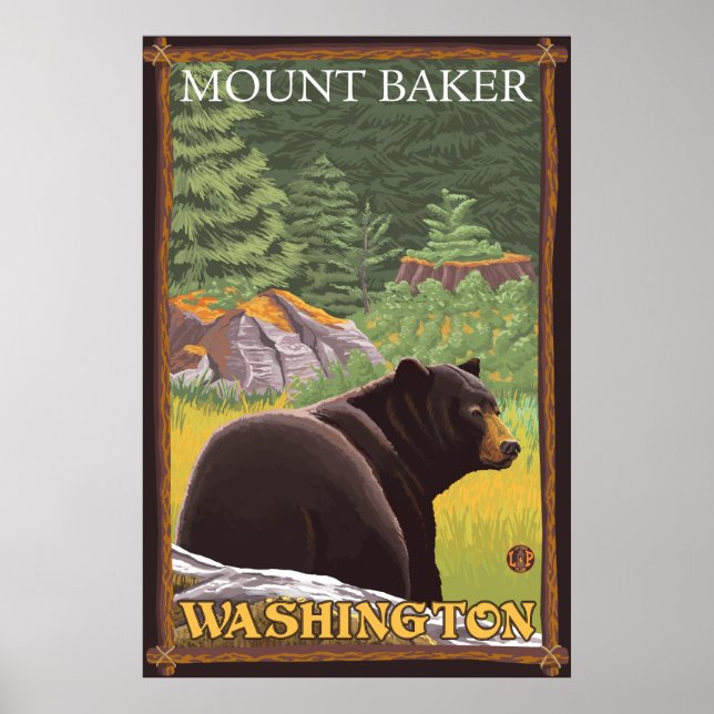 Poster Urso Negro na Floresta - Monte Baker, Washington (Frente)