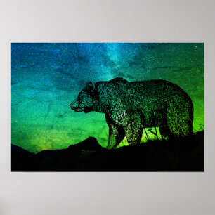 Póster Urso Noturno E Aurora Borealis