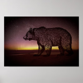Póster Urso Noturno E Aurora Borealis