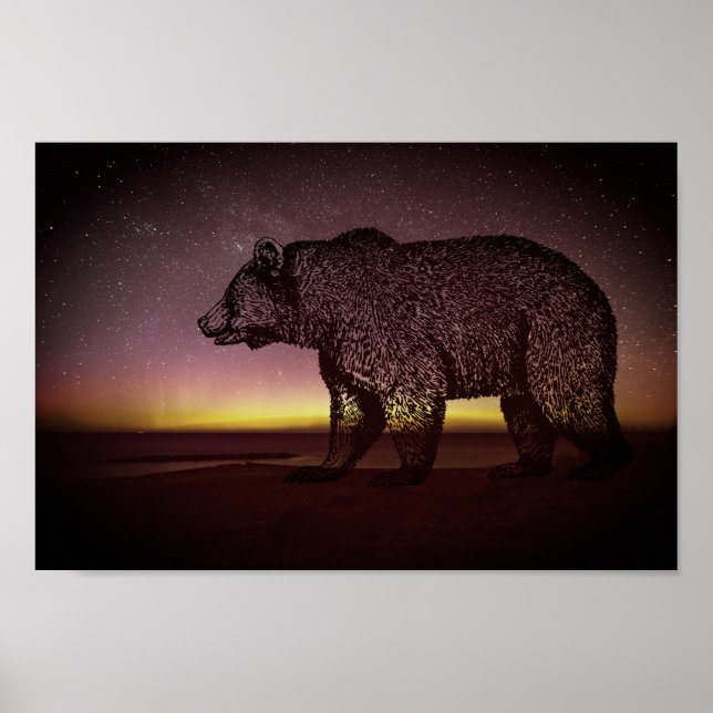 Póster Urso Noturno E Aurora Borealis (Frente)