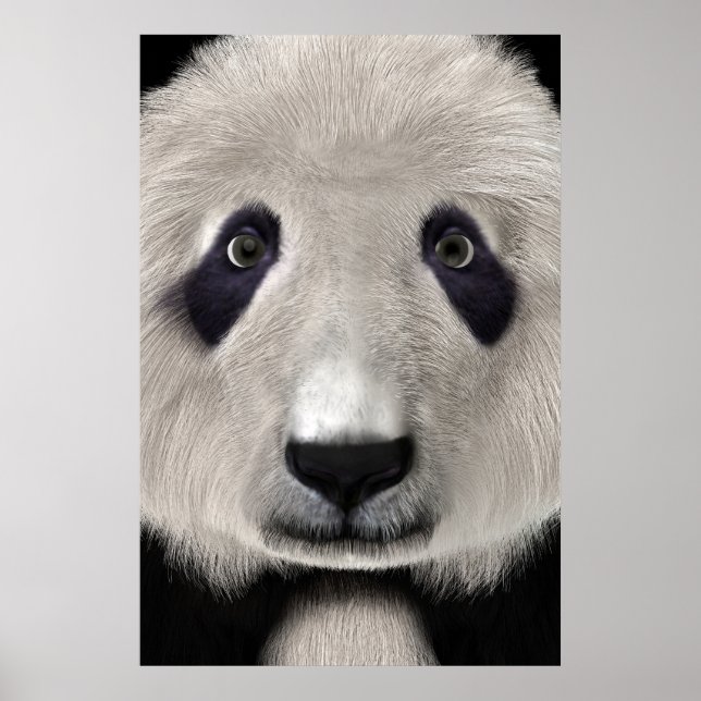 Póster Urso Panda (Frente)