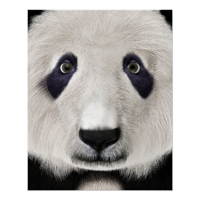 Póster Urso Panda (Frente)