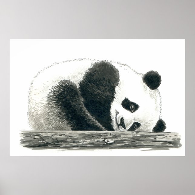 Poster Urso Panda (Frente)