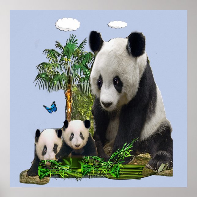 Poster Urso panda e filhotes (Frente)