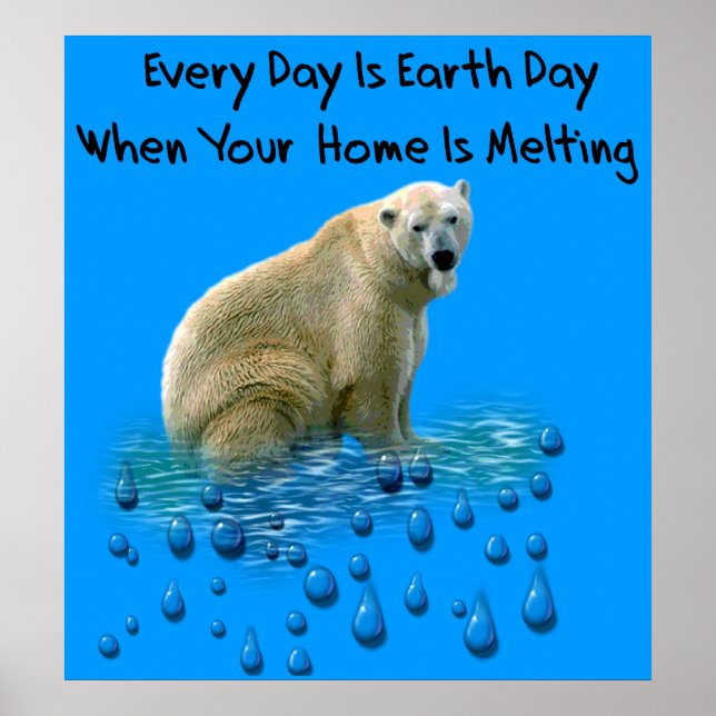 Póster Urso Polar (Frente)