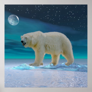 Poster Urso Polar à Lua