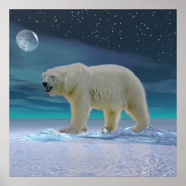 Poster Urso Polar à Lua (Frente)