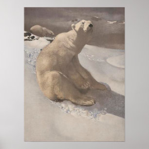 Poster Urso polar a saltar na ilustração da colheita de n