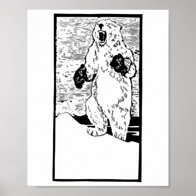 Poster Urso Polar Boxeado Combatendo Engraçado Com O Aque (Frente)