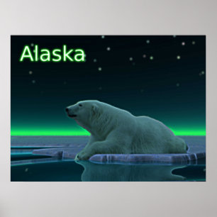 Poster Urso Polar De Borda De Gelo