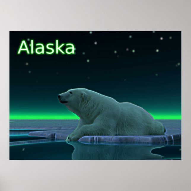 Poster Urso Polar De Borda De Gelo (Frente)