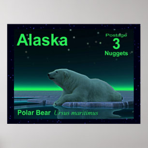 Póster Urso Polar De Borda De Gelo