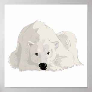 Poster urso polar descansado