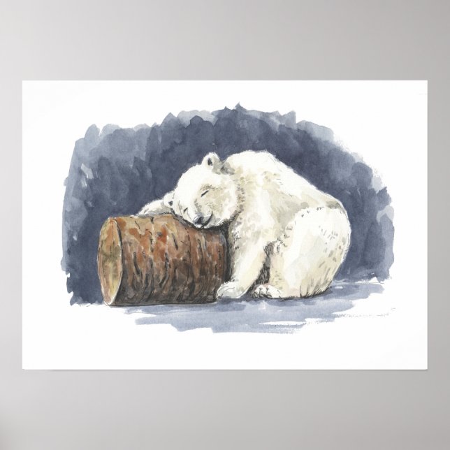 Poster Urso polar dormindo, arte aquarela (Frente)