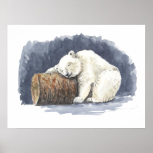 Poster Urso polar dormindo, arte aquarela