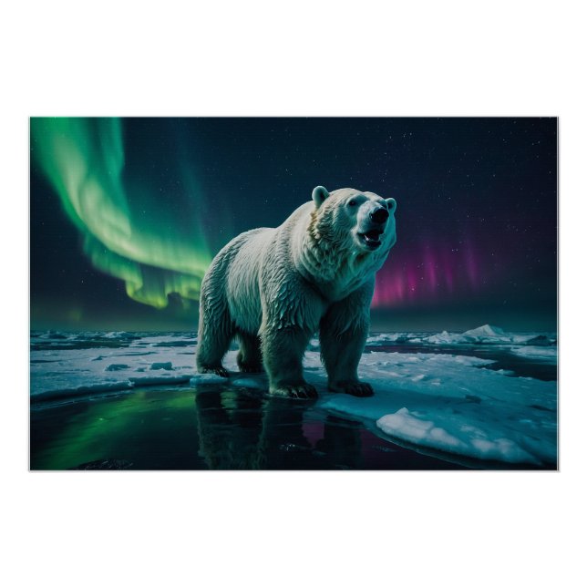 Póster Urso Polar e Arte Aurora (Frente)