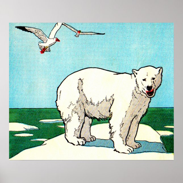Poster urso polar e gaivotas (Frente)