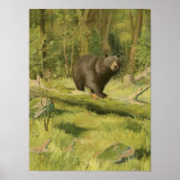 Urso Preto a Passar num Tronco de Árvore