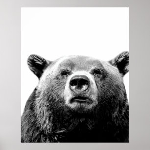 Póster Urso preto e branco animal da floresta esconde-esc