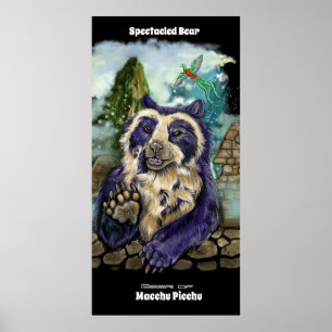 Poster Urso Spectacled