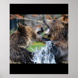 Póster Urso Ursos Animais Água Salpico Vida Selvagem Natu