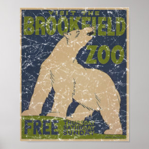 Póster Urso Zoológico-Polar Brookfield