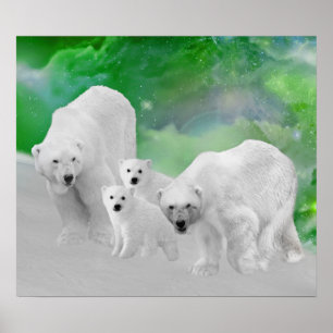 Póster Ursos polares, filhotes e aurora boreal