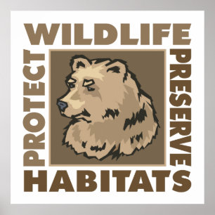 Poster Ursos - Proteger a Vida Selvagem Preservar Habitat