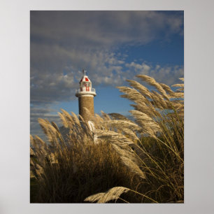 Póster Uruguai, Departamento de Montevidéu, Montevidéu. 2