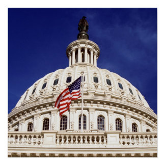 Póster US Capital Building, Washington DC