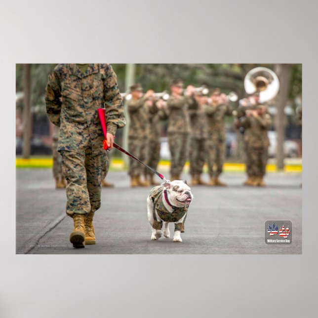 POSTER US MILITARY SERVICE DOG (Frente)