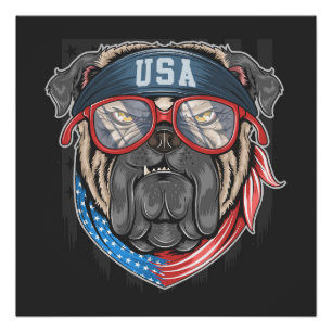 Póster USA Buldogue