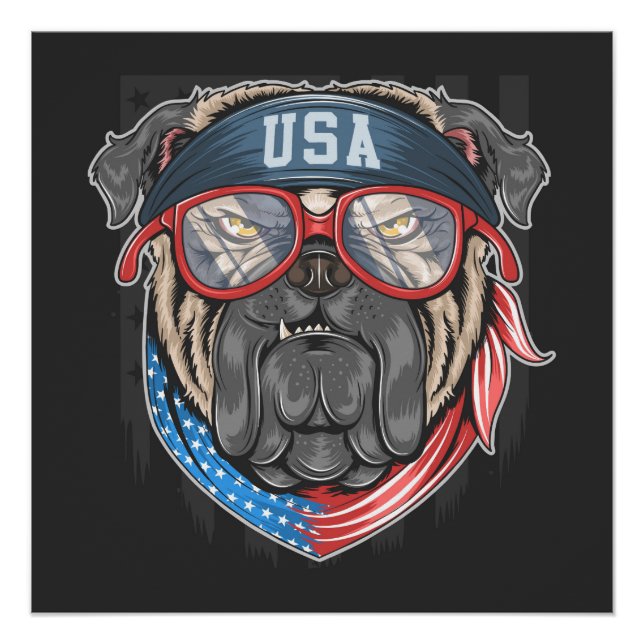 Póster USA Buldogue (Frente)