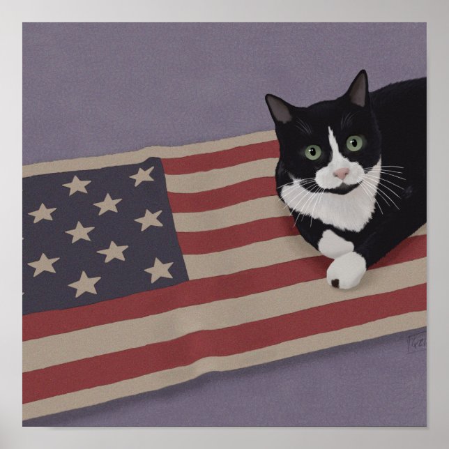 Poster USA Cat (Frente)